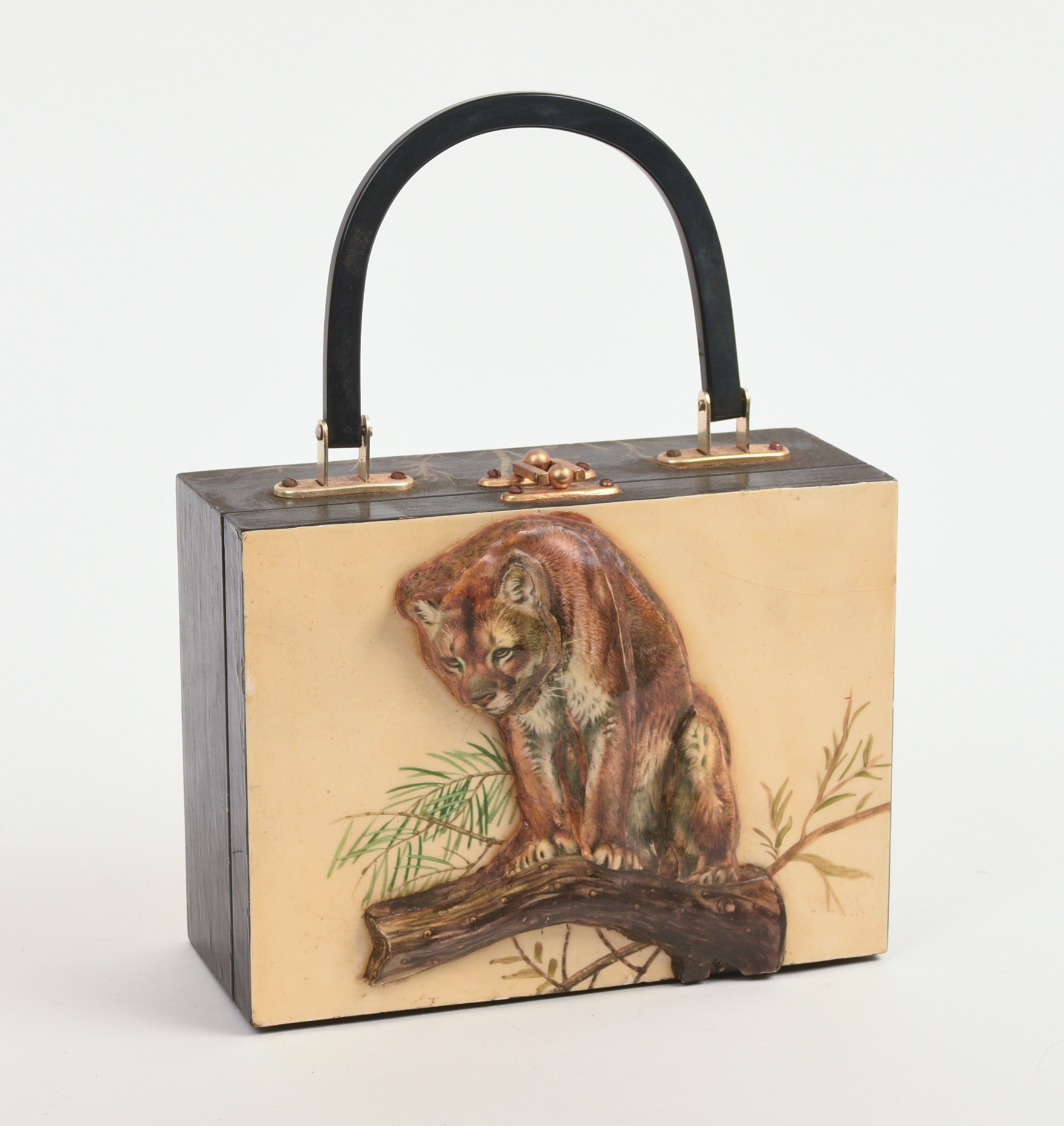 BIG CAT POCKETBOOK.