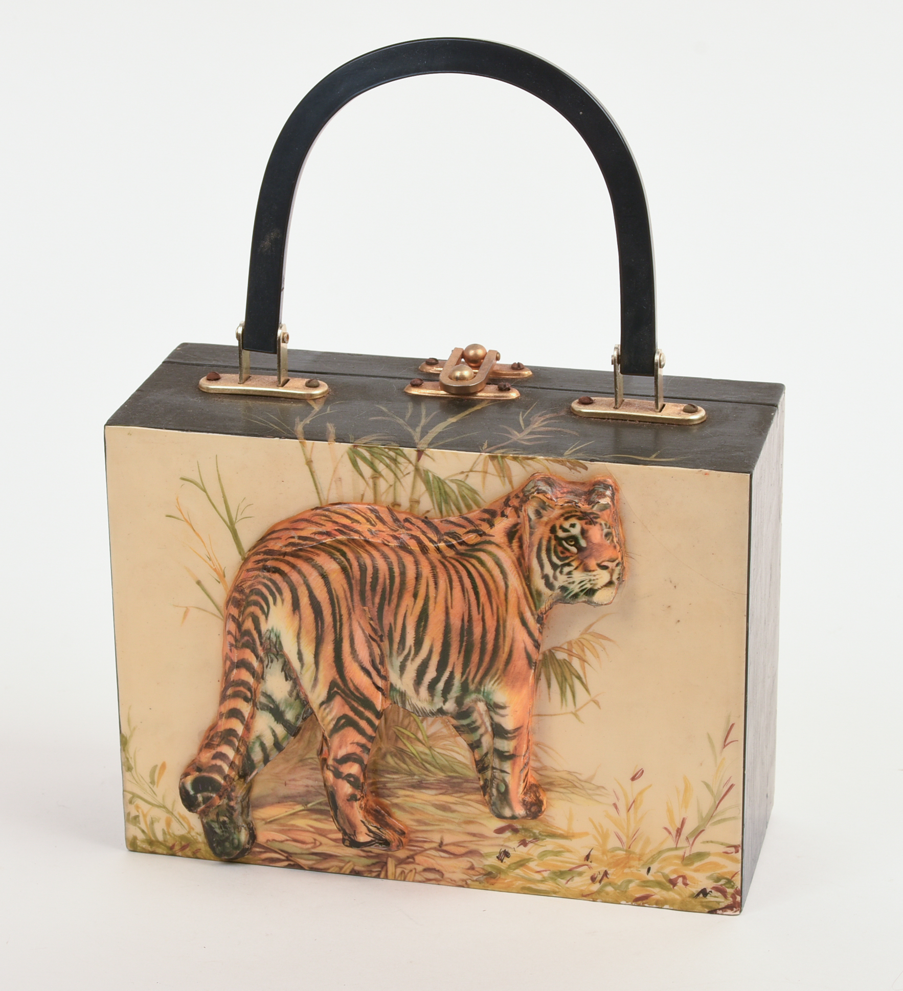 BIG CAT POCKETBOOK.