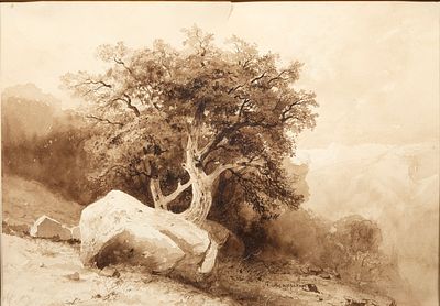 MESHERSKY Arseny (1834-1902)
Paysage avec un arbre
Encre sur papier
Signé en bas à droite
32 x