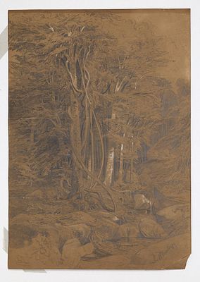 SHILDER Andrej (1861-1919)
Paysage de for&ecirc;t
Crayon sur papier
Sign&eacute; en bas &agrave; droite, annot&eacute; au 