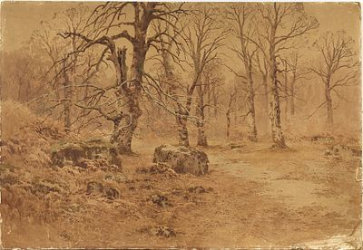KRYSCHITSKIJ Constantin (1858-1911)
Paysage de for&ecirc;t, 1901
Aquarelle sur papier, contrecoll&eacute; 