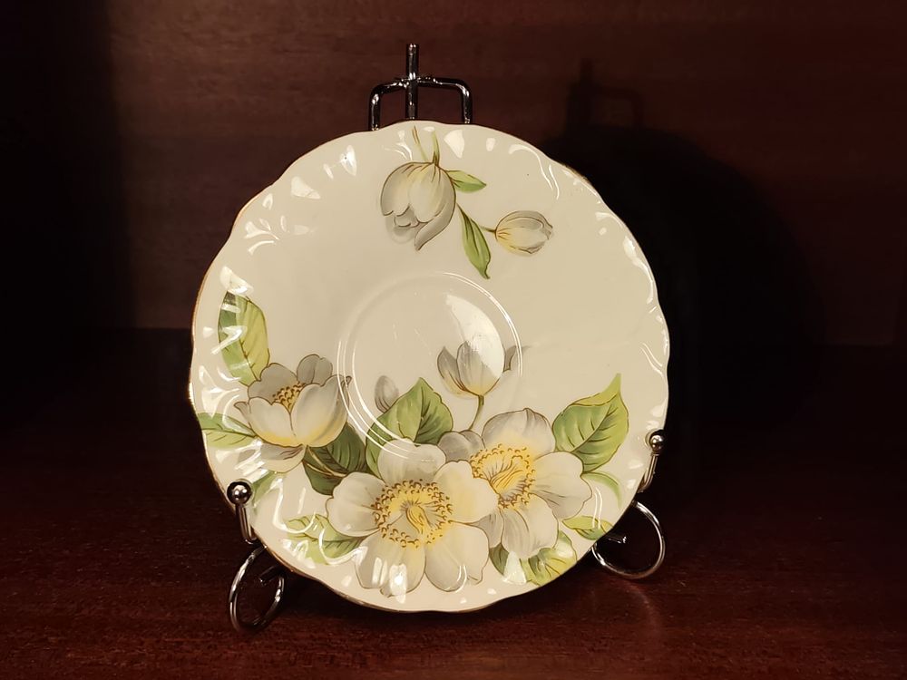 Vintage Aynsley - White Magnolia (Dogwood) saucer.