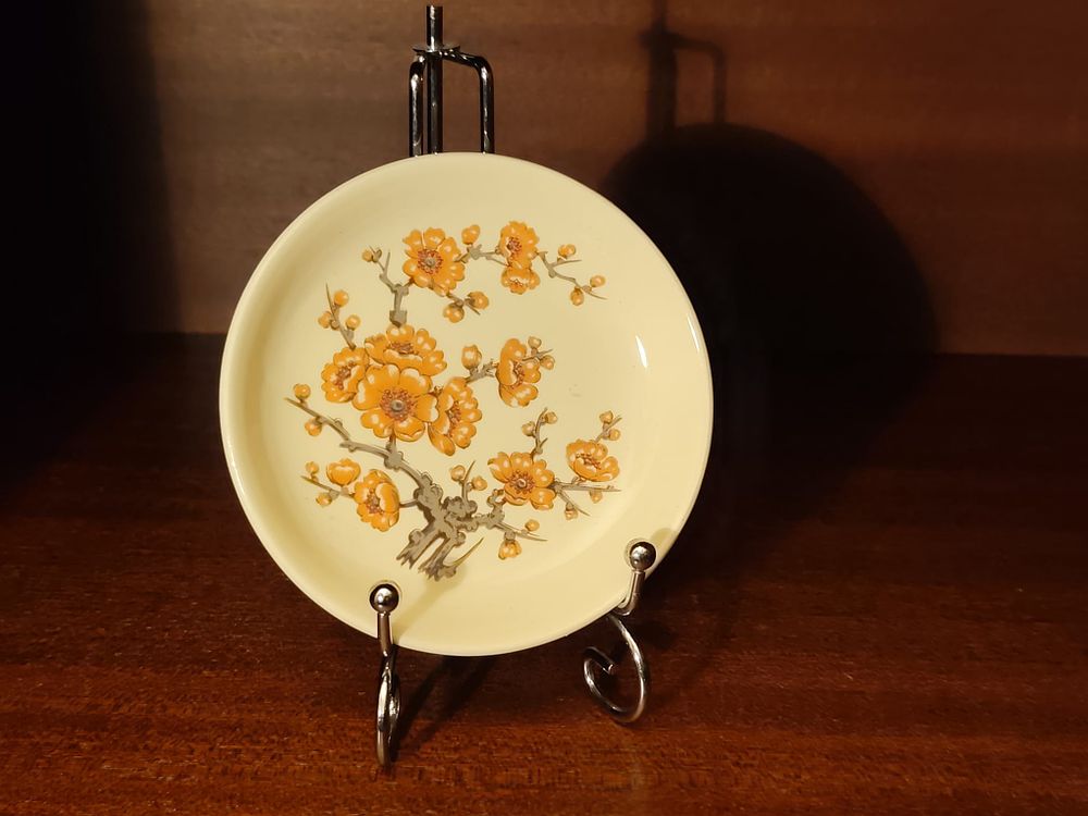 Vintage Royal Worchester - Palissy side plate. Springtime pattern.