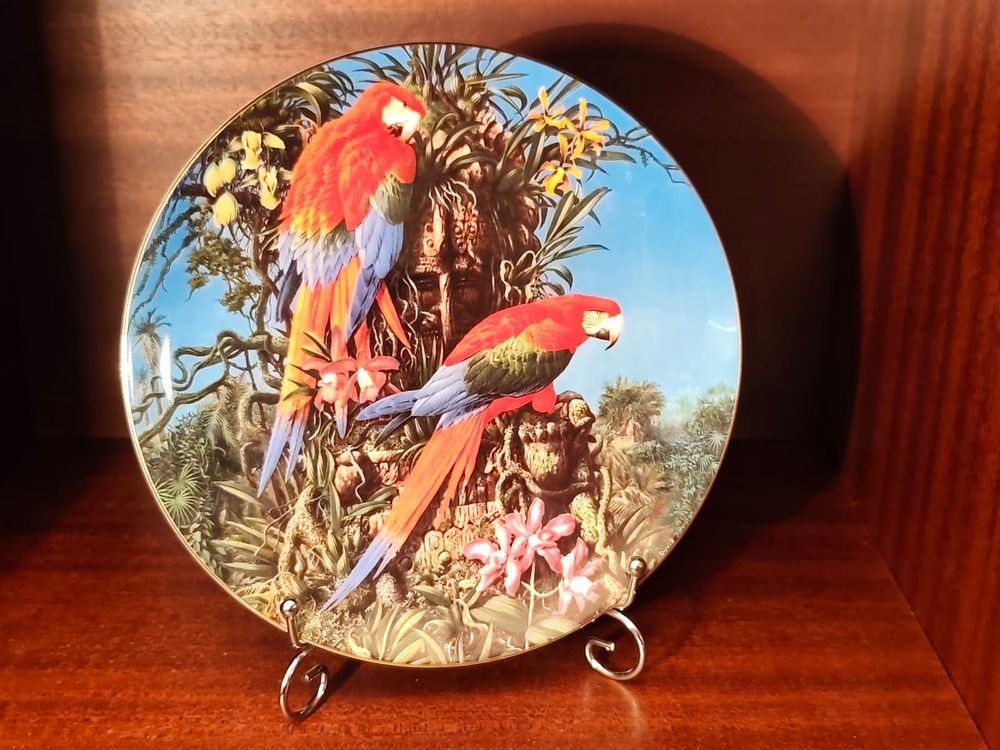 Wedgwood bone china Fragile Paradise Collection decorative plate. Green-Winged Macaws pattern. 