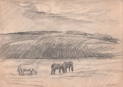 Дувидов В.А. Под Рязанью. Бумага, карандаш. 1970-е гг. Лист 27,8х37,8 см. Подпись художника в 