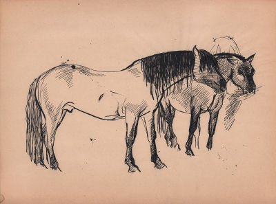 Дувидов В.А. Кони и сено. Бумага, тушь. 1970-е гг. Лист 29х39 см. Незначительные повреждения 