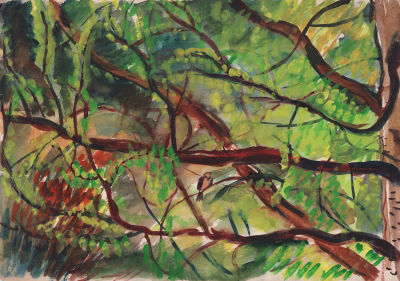 Дувидов В.А. Воробей на березе. Бумага, акварель. 1970-е гг. Лист 29,5х42 см. На обороте 