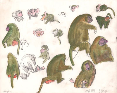 Дувидов В.А. Павиан анубис. Бумага, карандаш, акварель. 1999 г. Лист 35,5х45 см. Подпись в 