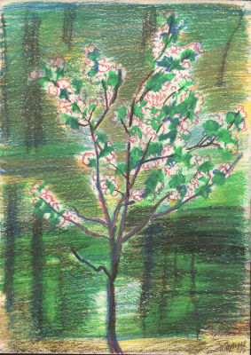 Дувидов В.А. Яблоня в цвету. Дом отдыха "Шахтер". 1997 г. Бумага, восковые мелки. Лист 43х30,5 