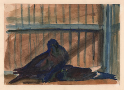 Дувидов В.А. Голуби. 1950-е гг. Бумага, акварель. Лист в паспарту, окно 20х28 см. От 