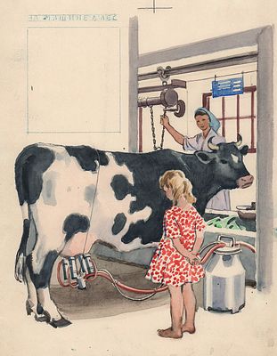 Харкевич И.И. Их не руками доят, а электричеством. Аппараты такие придуманы. Оригинал 