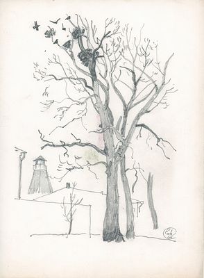 Мешков Е.А. Суздаль. Гнезда. 1964 г. Бумага, кар. Лист 39х29 см. Монограмма художника в правом 