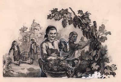 Владимирский Л.В. Сбор винограда. Оригинал иллюстрации к журналу "Огонек", 1950-е гг. Бумага 