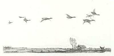 Никольский Г.Е. Оригинал иллюстрации (разворот стр.108-109) к рассказу Гаршина 