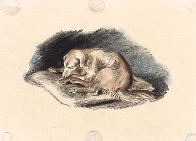 Алимов Б.А. Сон. Оригинал иллюстрации к книге А.П. Чехова "Каштанка", Москва : Сов. Россия 