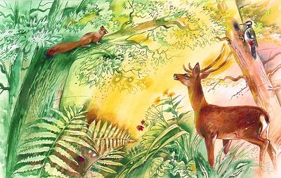 Борисов А.А. Разговор с белкой. Оригинал иллюстрации к книге Ф. Зальтена "Бемби". Москва : 