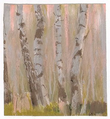 Игнатьева М.А. Березы. 10960-е гг. Бумага, акварель, мелки. Лист 21х19 см. Игнатьева Марта 