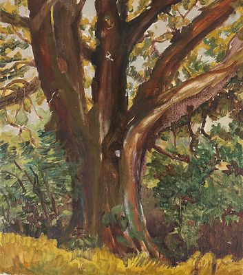 Ламцова М.С. Дуб. 1950-е. Картон, масло, 30х26,2 см. Ламцова Марина Сергеевна (1904–1991) — 