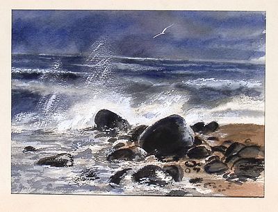 Лебедев В.А. Чайка. Оригинал иллюстрации к книге В. Амурского. 1980-е гг. Л. - Лен. отделение 