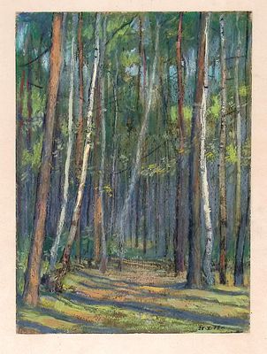 Незнайкин И.П. Смешанный лес. 1977 г. Бумага, акварель, гуашь. Лист 28,5х20,2 см на бумажной 