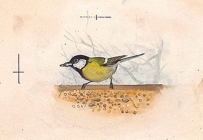 Никольский Г.Е. Синица. Оригинал иллюстрации к книге К. Киршиной "Двор непуганых птиц". Москва 