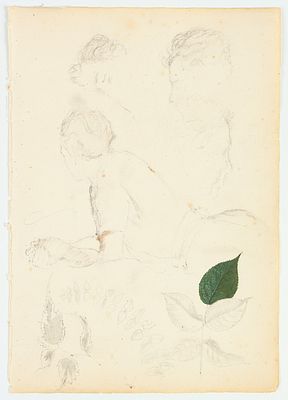 Чехонин С.В. Собирая гербарий. Наброски. 1920-1930-е. Бумага, карандаш, акварель, 25,8х18 см. 