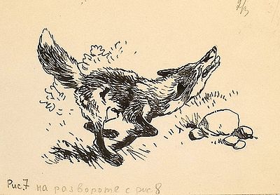 Адрианов С.В. Лиса. Оригинал иллюстрации к книге Б. Шинкуба "Медвежья пляска". Москва : Детгиз 