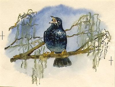 Афанасьева М.Л. На ветке. Оригинал иллюстрации к книге А. Шишова "Яблонька". Москва : Малыш 