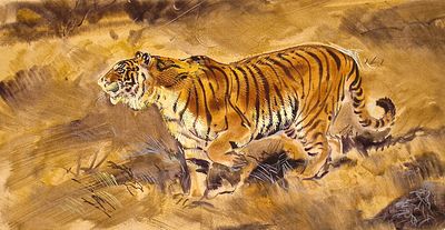 Бастрыкин В.В. Тигр. 2001. Бумага, акварель, белила. Лист 28,5х53,5 см. На обороте авторская 