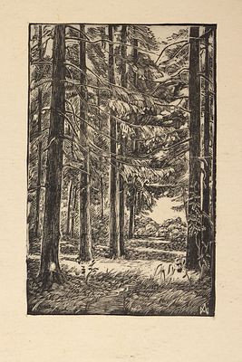 Аллендорф М.А. Сосны.1940-е. Бумага, ксилография, 10,5х6,7 см - оттиск, 14,7х9 см - лист. В 