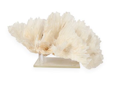 A Large Scolecite Mineral Specimen on Acrylic Stand. A Scolecite mineral specimen, presenting as 