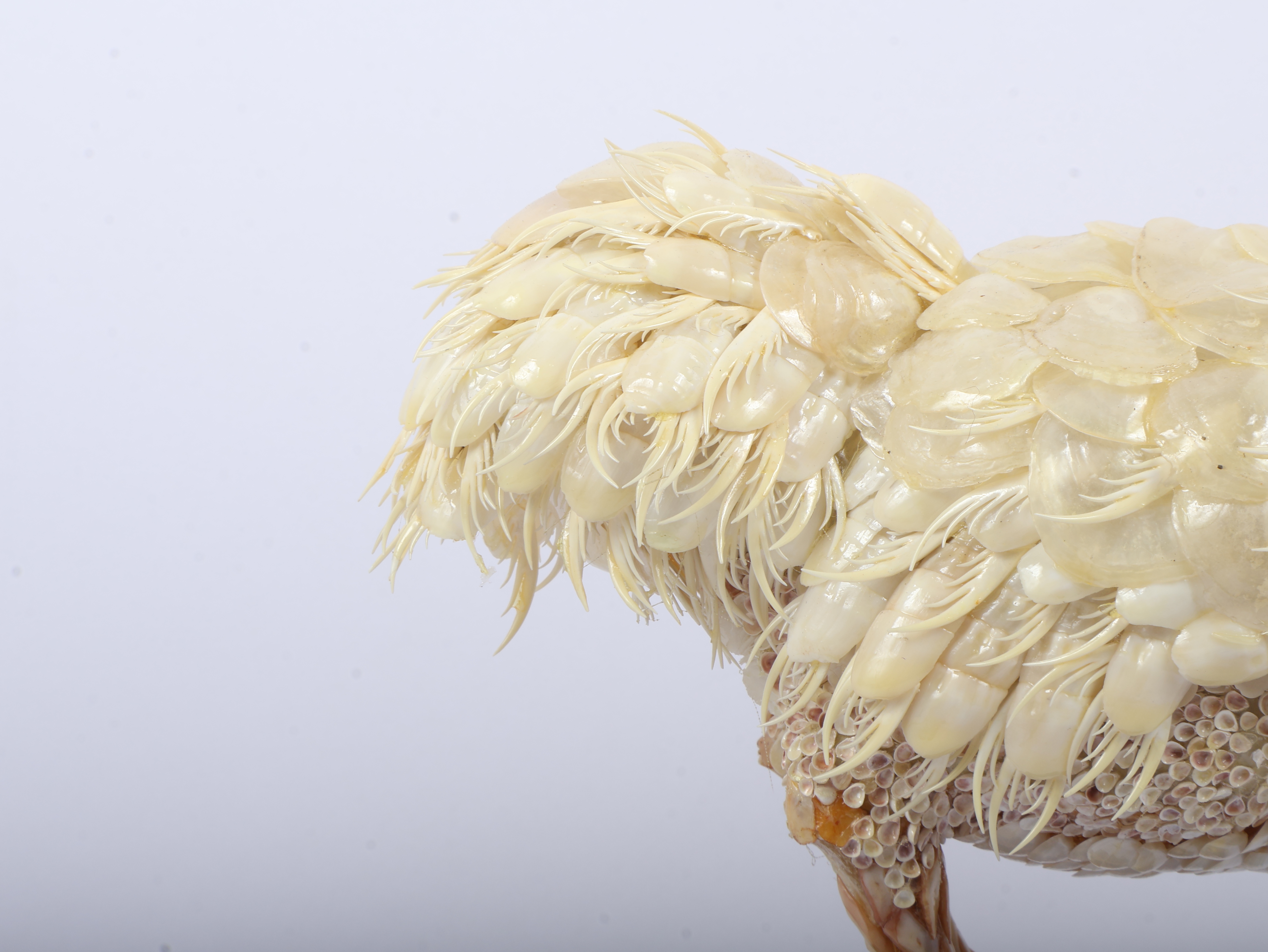 Large Shellwork Ostrich Figurine on Onyx Base