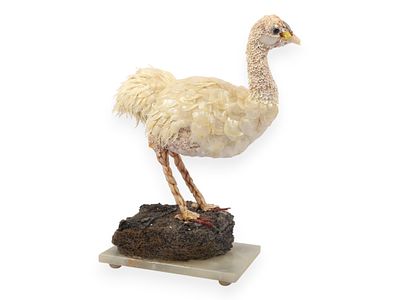 Large Shellwork Ostrich Figurine on Onyx Base. A detailed shellwork figurine of a long-necked 