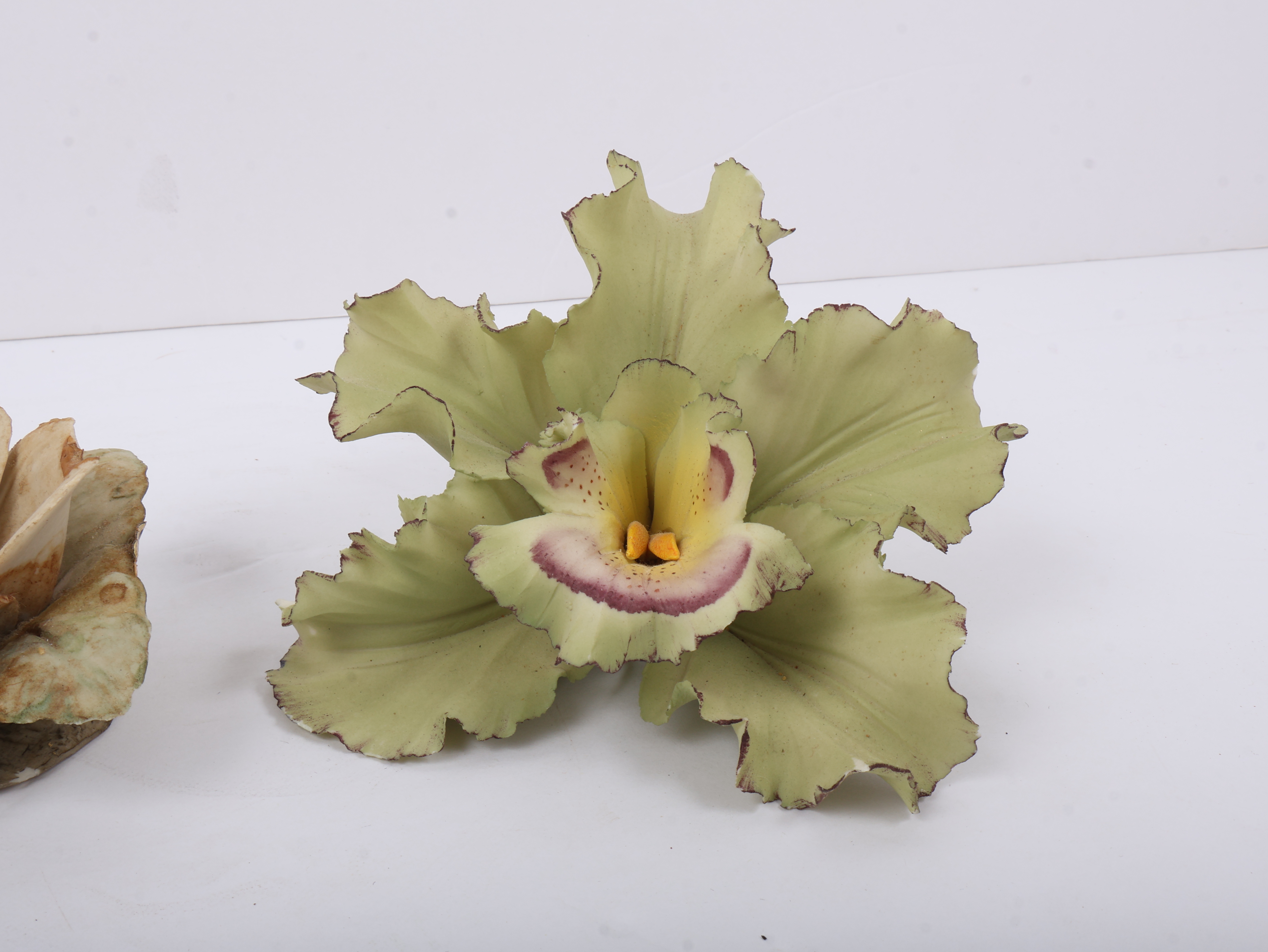 An Assortment of Capodimonte and Crown Staffordshire Porcelain and Bone China Floral Figurines