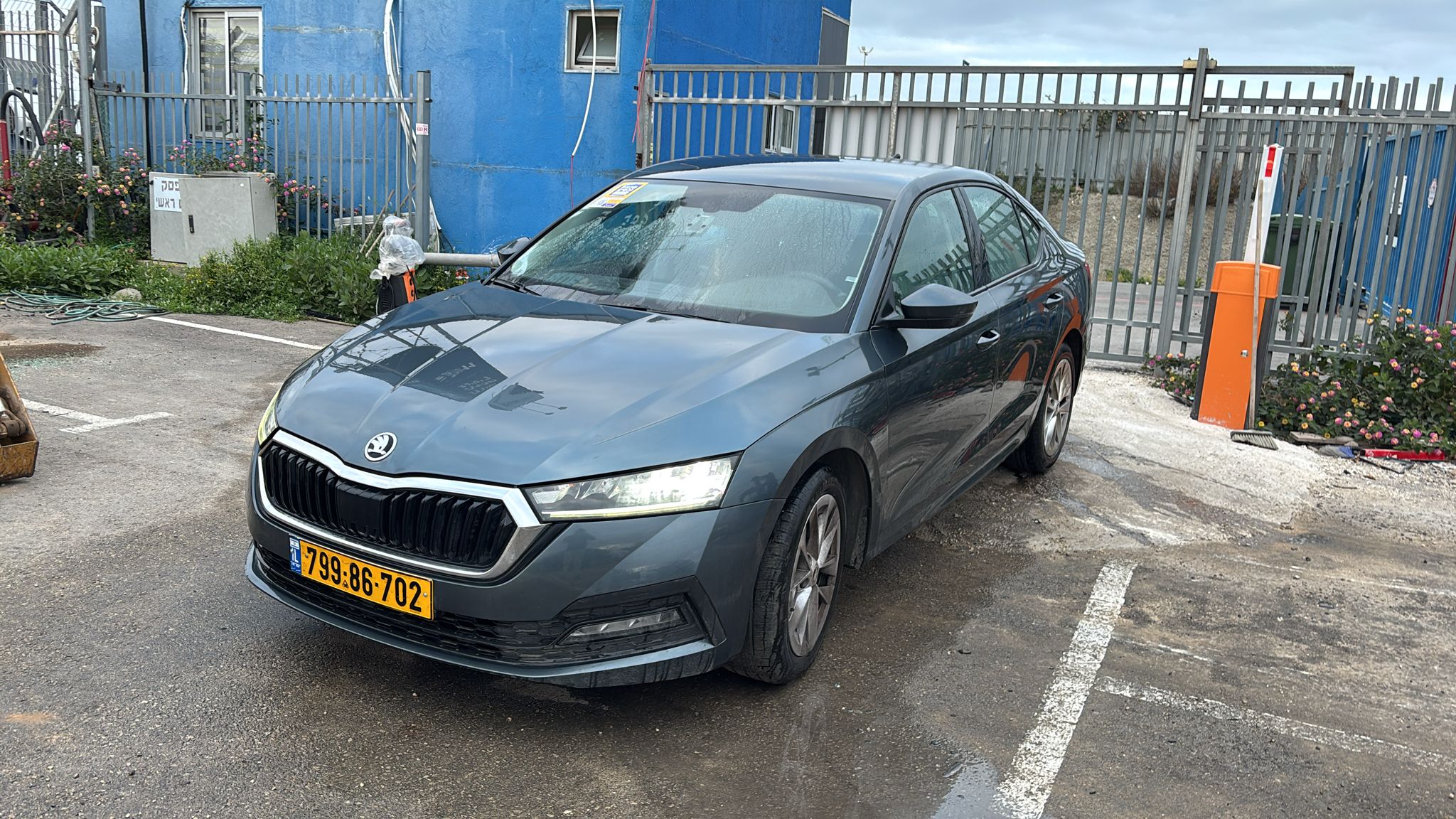 סקודה אוקטביה
