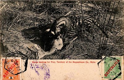 Mozambique Company * 1916 – Elephants, with the surcharge “REPUBLICA” and surcharge from the 