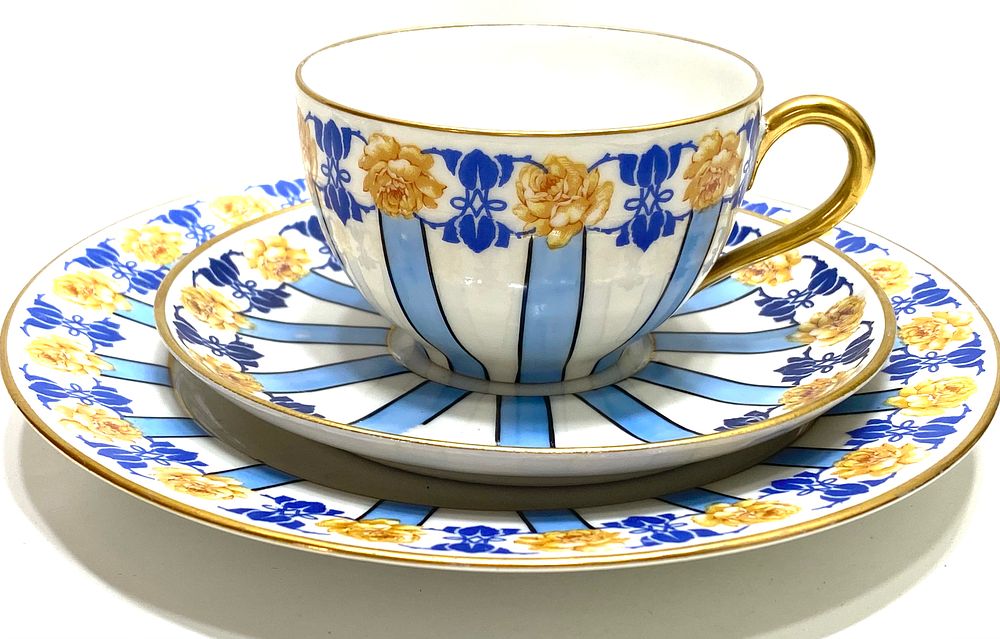 ROBERT HAVILAND LIMOGES FINE BONE PORCELAIN
לאספני טריו נדירים פורצלן וינטאג' שנות 40-60 עיצוב