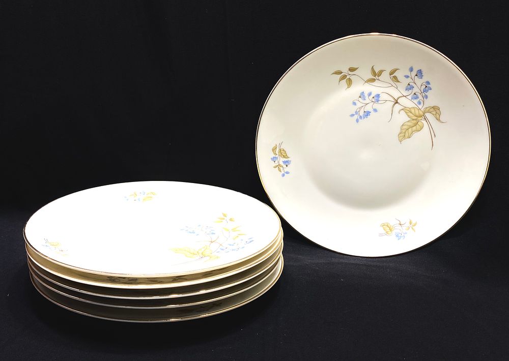 סט 6 צלחות פורצלן תוצרת ROSENTHAL FINE BONE GERMANY PORZELLAN, שנות ה-30, קוטר 20 ס"מ, ציור 