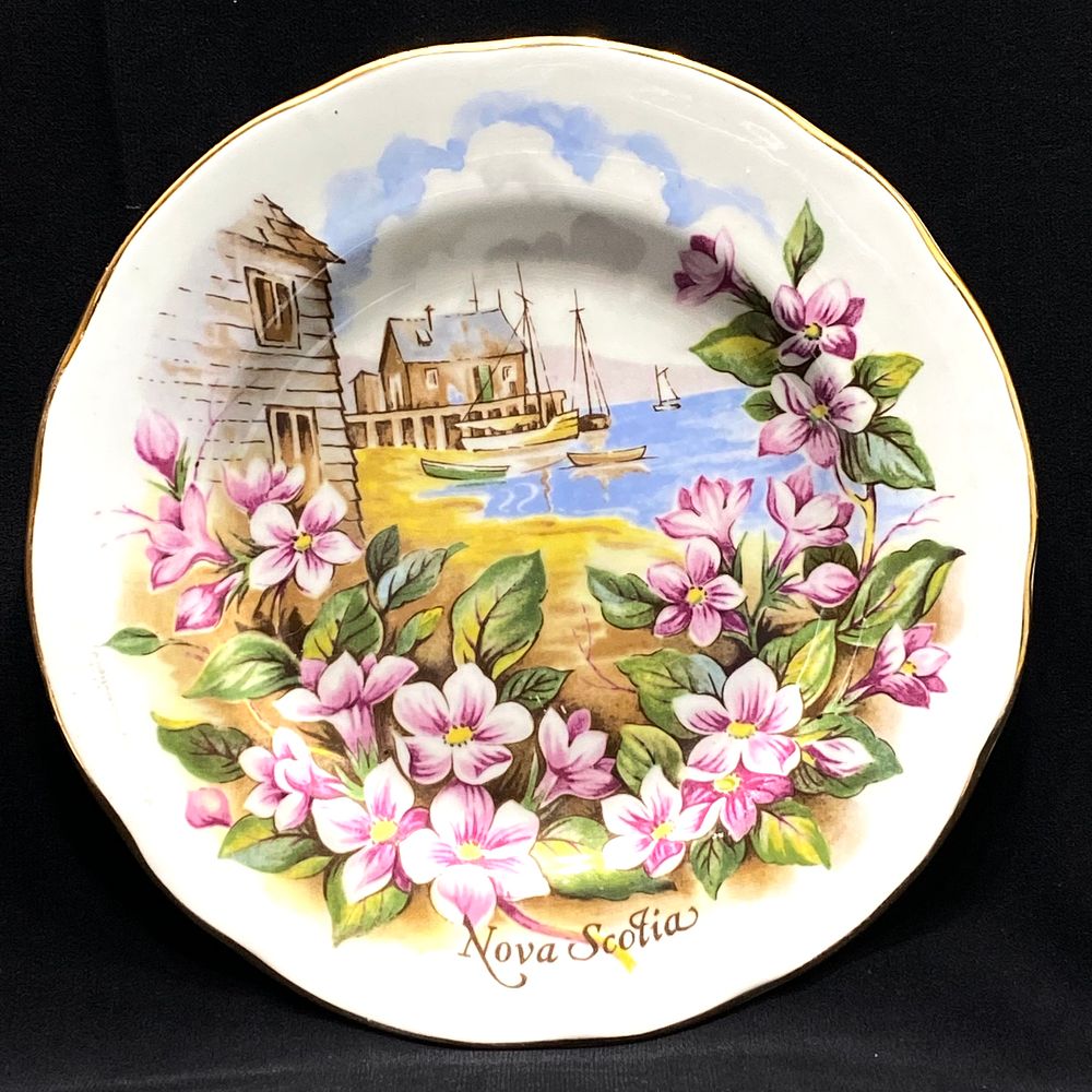 צלחת אספנות פורצלן תוצרת DUCHESS FINE BONE ENGLAND PORCELAIN, קוטר 17 ס"מ, חתום