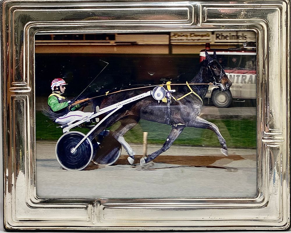 מסגרת כסף 925 אלקטרופורמינג לתליה (נדרש וו תליה) על דיקט עם זכוכית וחיפוי חלק אחורי בקטיפה 