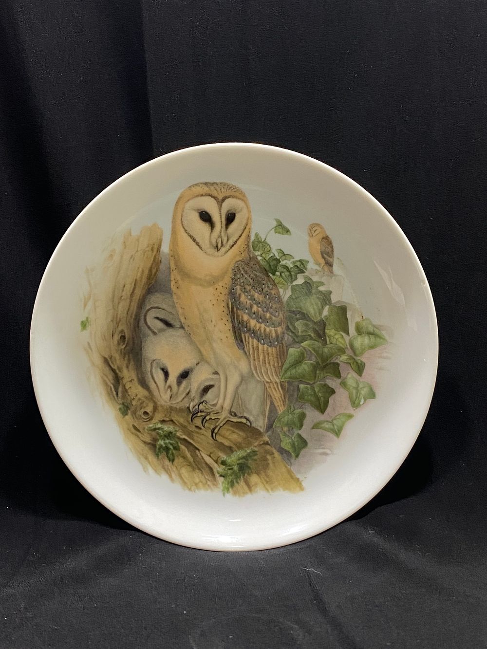 צלחת אספנות פורצלן עבודת דקאלים אלגנטית, קוטר 19.5 ס"מ