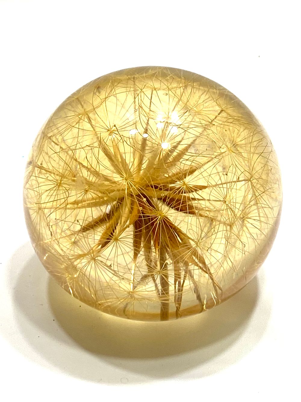 משקולת נייר וינטאג' אירופאי, פרספקס עם טבילת צמח וחותם, גובה 8 ס"מ, יפה ואלגנטי