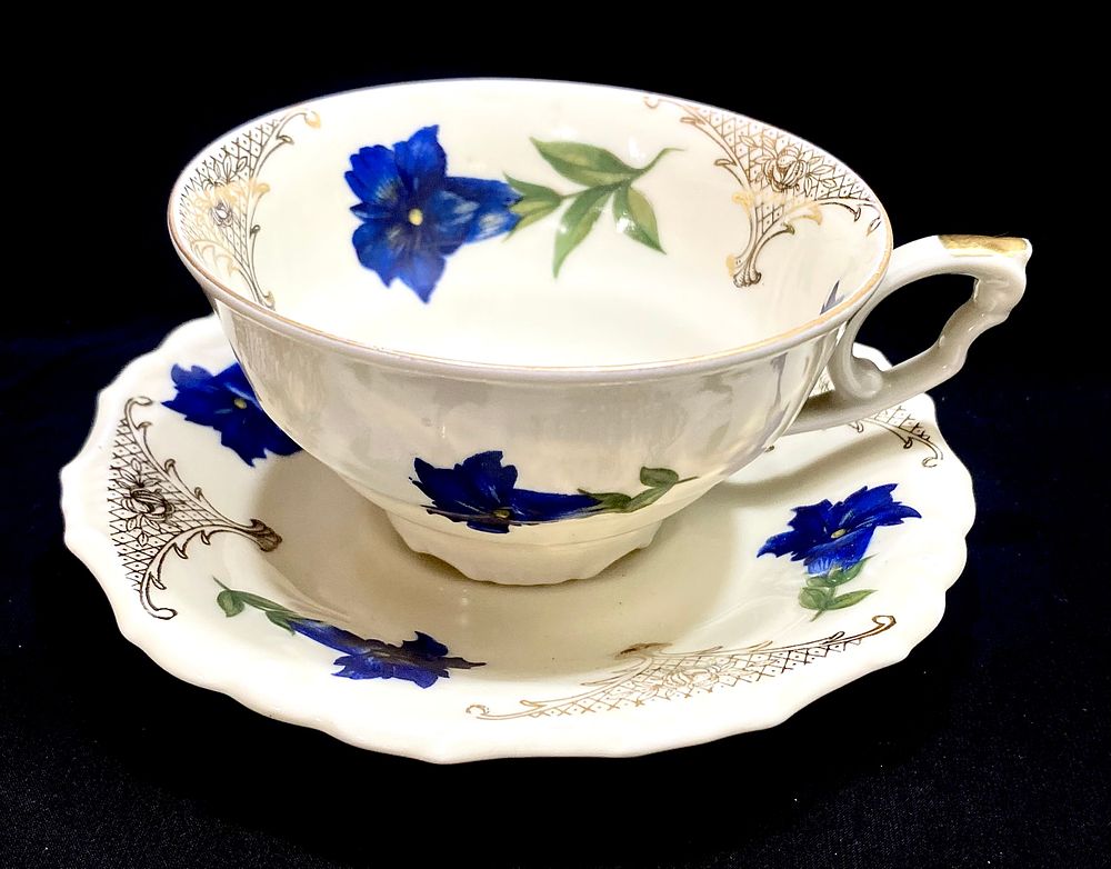 ספל ותחתית פורצלן SCHWARZENHAMMER FINE BONE GERMANY PORZELLAN
פורצלן אייבורי, ציור עבודת יד 