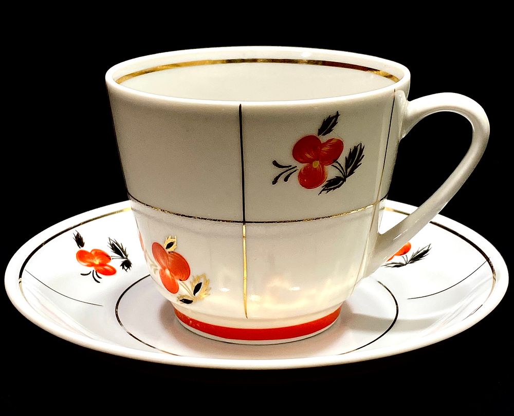 BARANIVKA FINE USSR PORCELAIN
ספל ותחתית לתה, פורצלן וינטאג' מרוסיה הקומוניסטית, ציור עבודת יד 