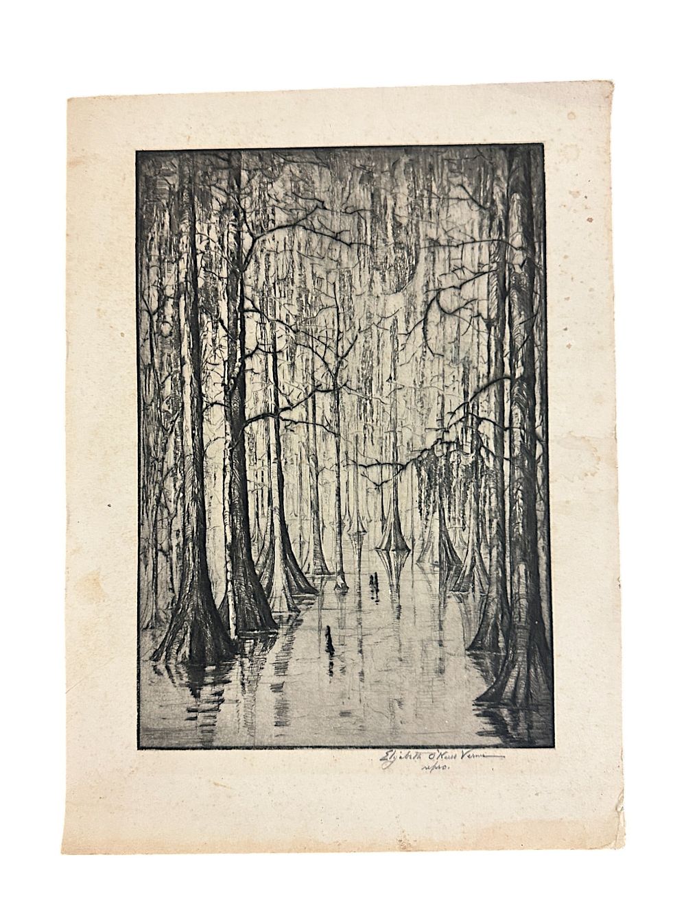 Lot 35: ELIZABETH O'NEILL VERNER CYPRESS SWAMP