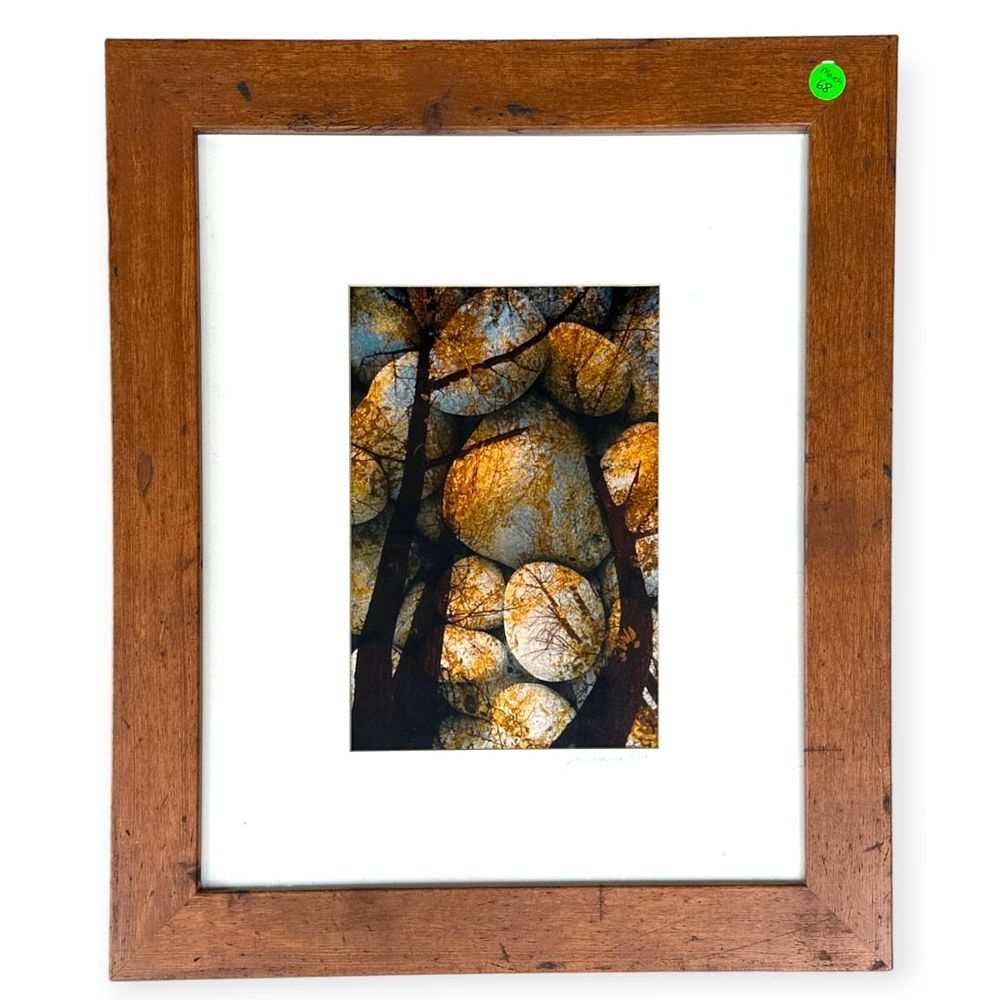 Lot 68: JIM SOKOLIK (1952-2023) FRAMED NATURE PHOTOGRAPH