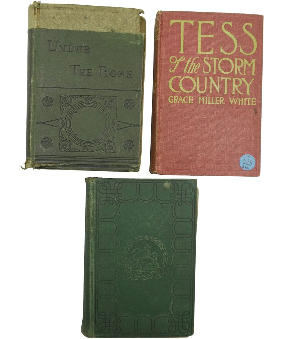Lot 223: LOT OF 3 ANTIQUE BOOKS INCLUDING EDGAR ALLEN POE
