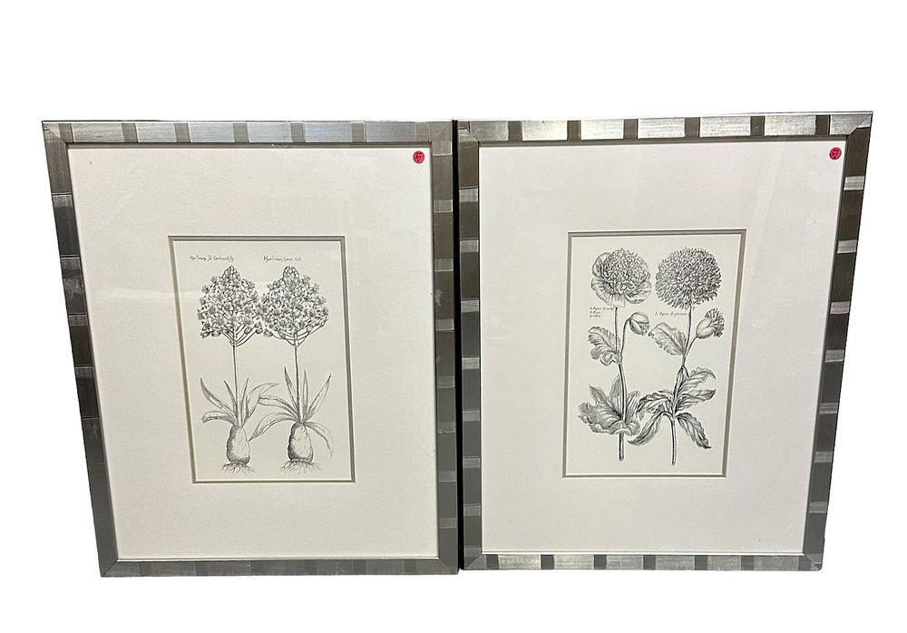Lot 307: 2 LARGE FRAMED BOTANICAL PRINTS