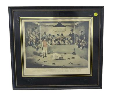 BILLY THE CELEBRATED RAT KILLING DOG AQUATINT. Hand Colored Antique Aquatint Print of Billy the 