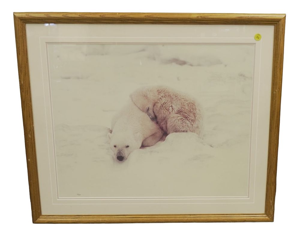 Lot 306: THOMAS MANGELSEN LTD ED MOTHER POLAR BEAR & CUB LARGE FRAMED PHOTOGRAPH